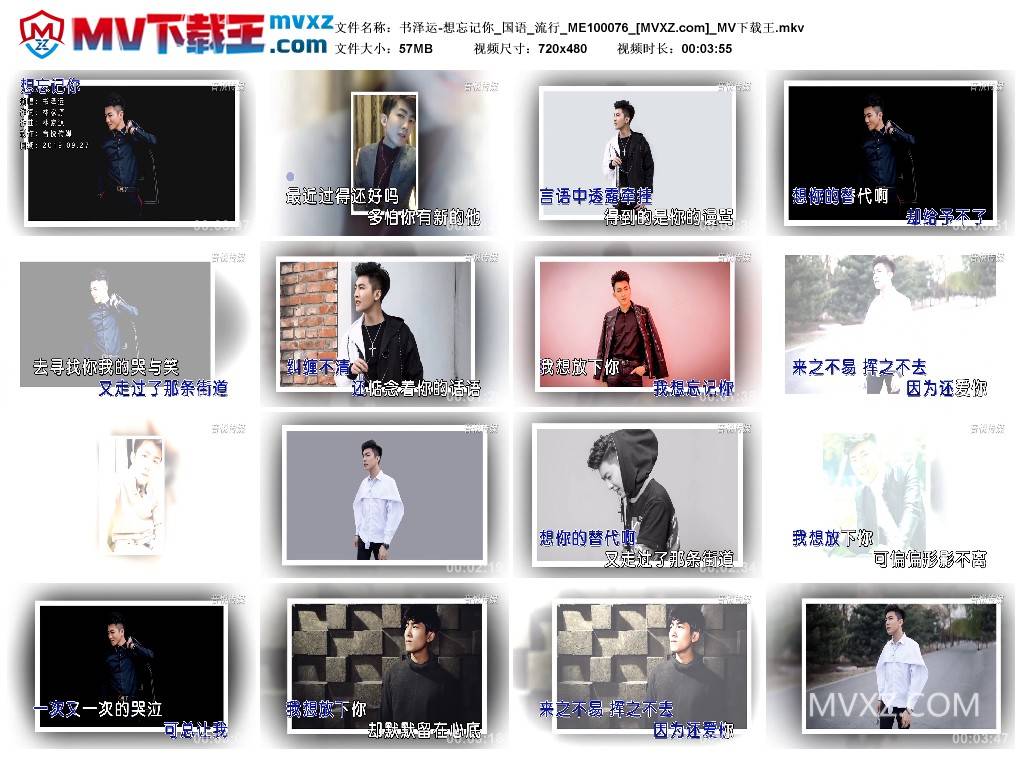 书泽运-想忘记你_国语_流行_ME100076